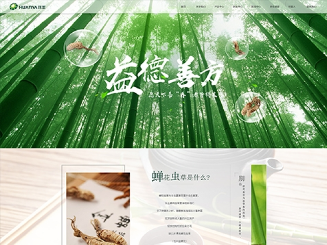 深圳市前海環(huán)亞生物科技有限公司網(wǎng)站建設(shè)項(xiàng)目